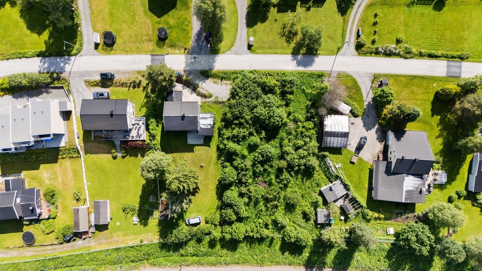 Tomtearealer. Galleribilde