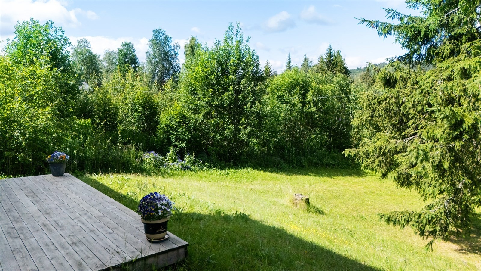 God plass for utendørsaktiviteter. Galleribilde