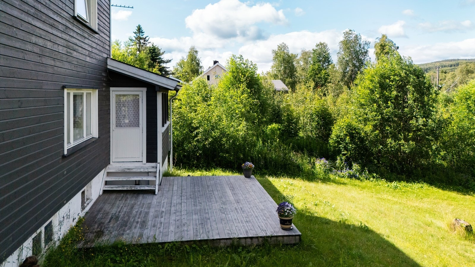 Skjermet hage. Galleribilde