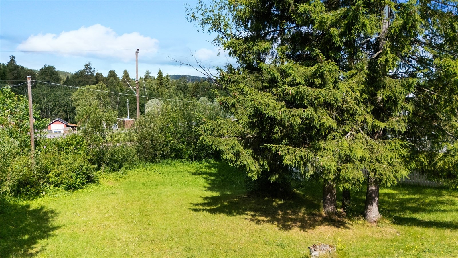 Hage med plen og beplantning. Galleribilde