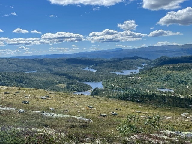 Privat sommerbilde Galleribilde