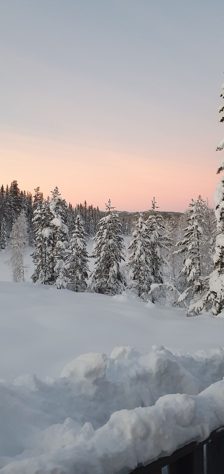 Privat vinterbilde Galleribilde