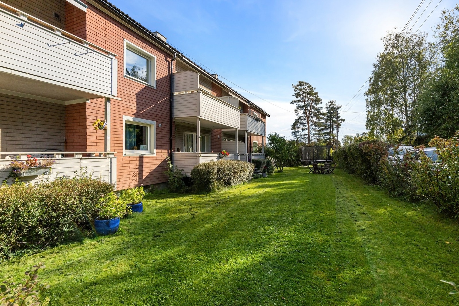 Stor felles hage for sameiet Galleribilde