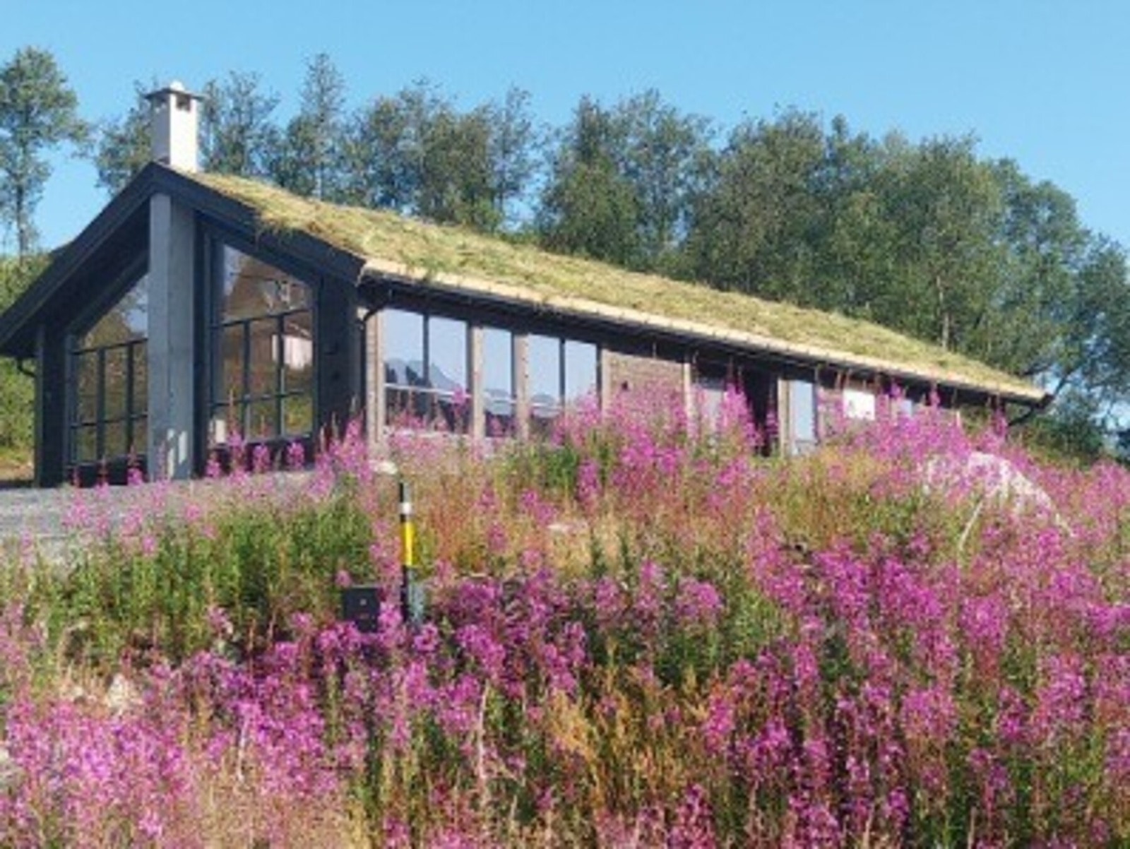 Utvendig sommerstid Galleribilde