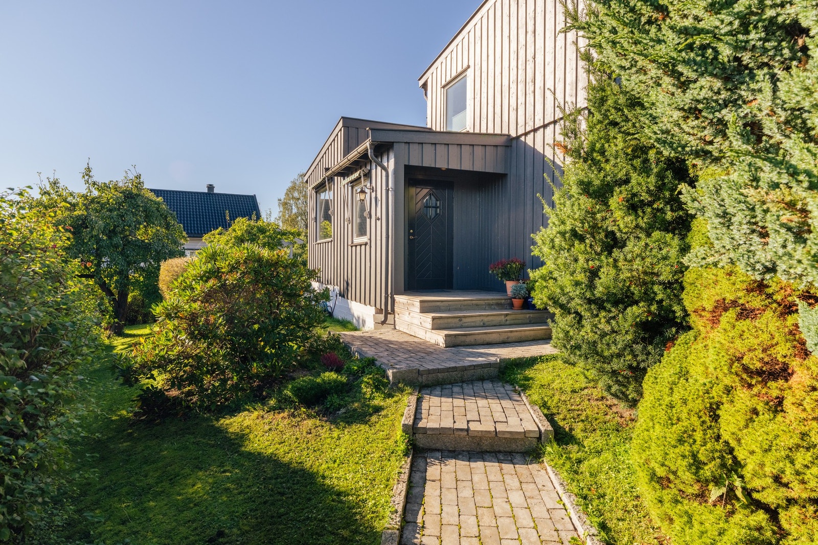Stor flat tomt. Galleribilde