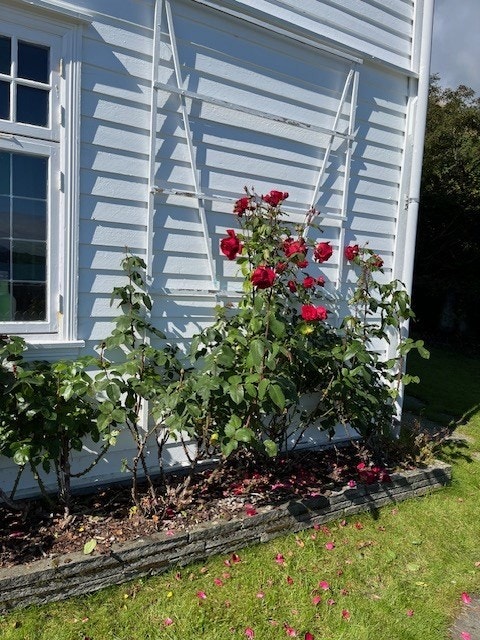 Stemningsbilder fra eiendommen. Galleribilde