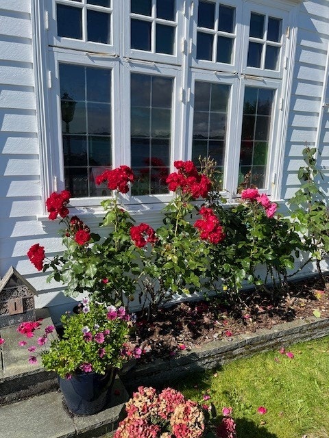 Stemningsbilder fra eiendommen. Galleribilde