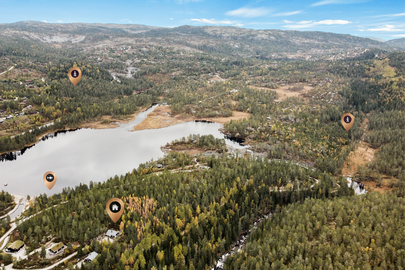 Kort vei til Bjønntjønn Galleribilde
