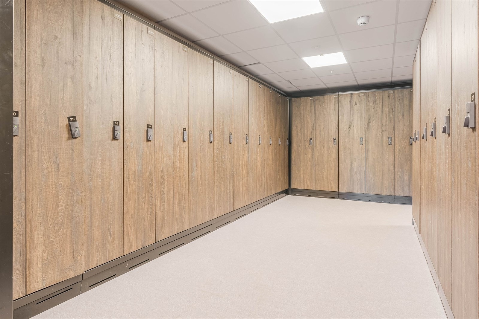 Skiskap Galleribilde