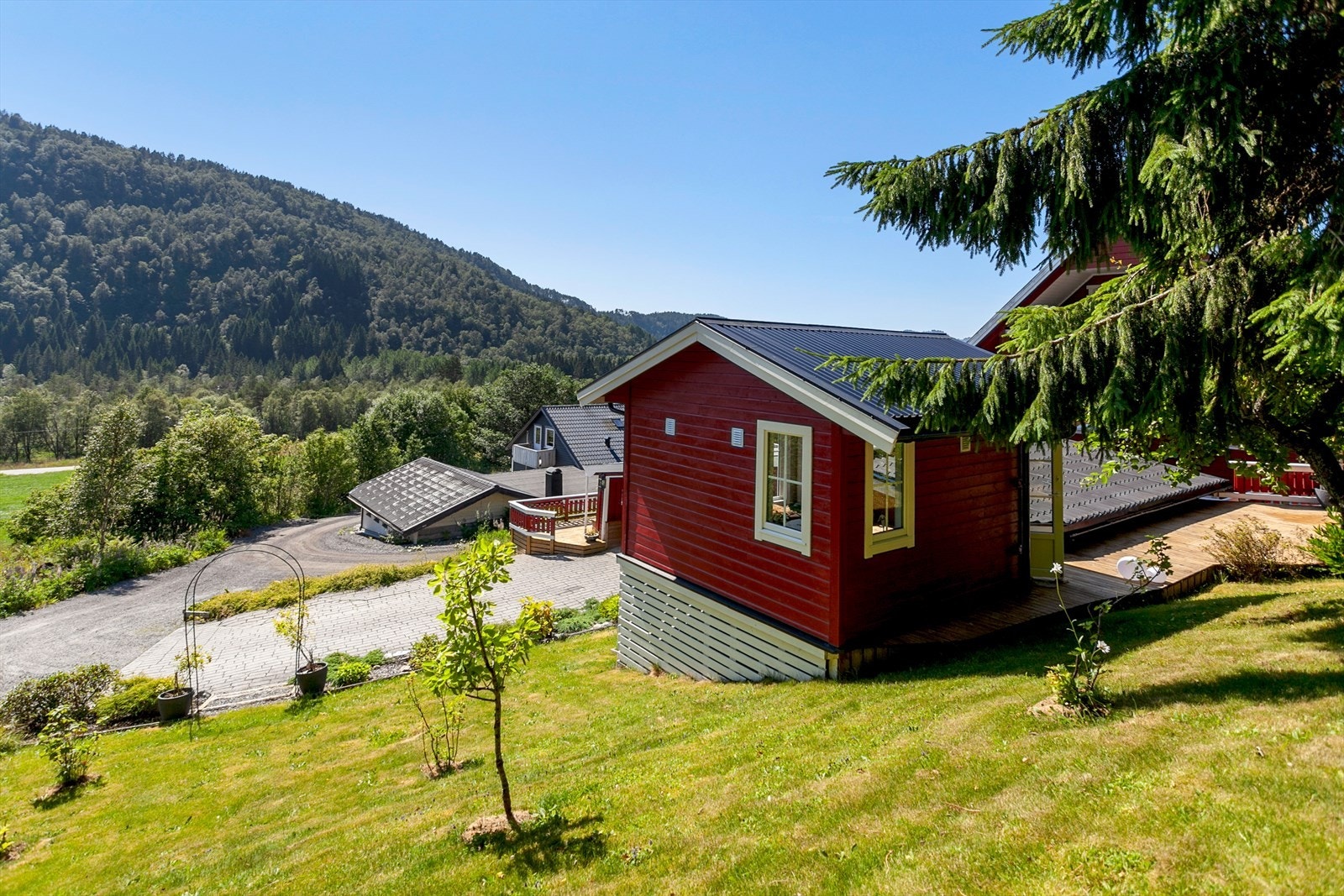 Pent opparbeidet hage med plen og prydbusker. Galleribilde