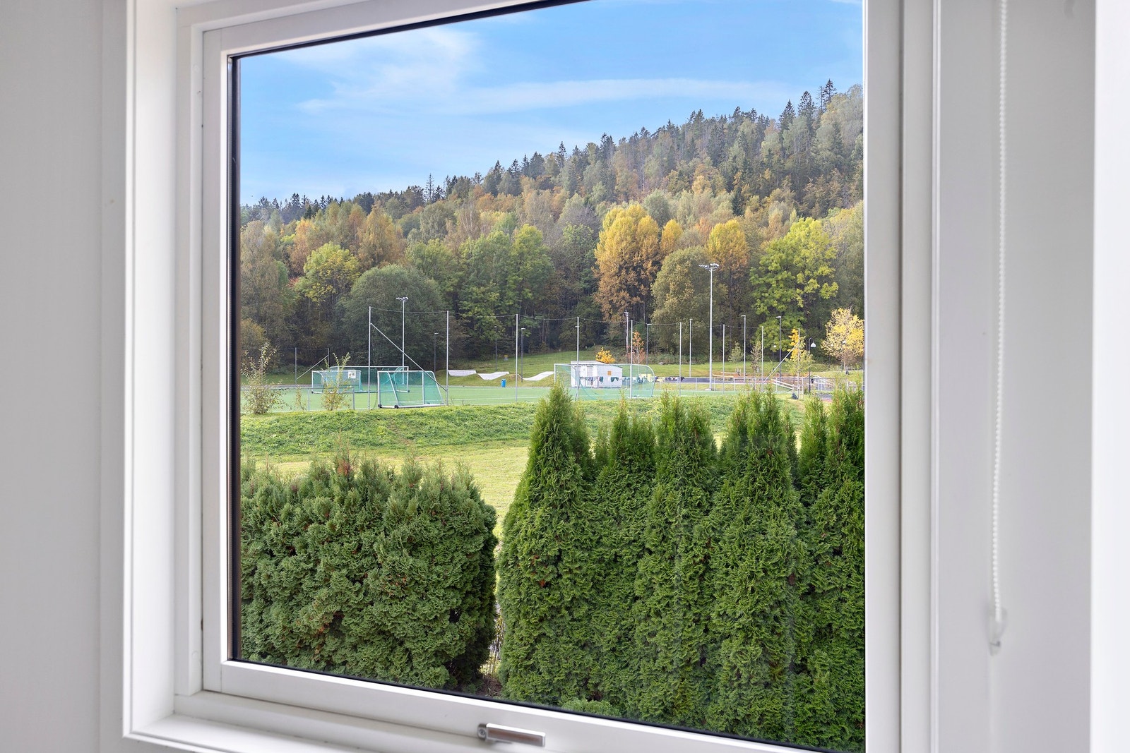 Utsikt. Galleribilde