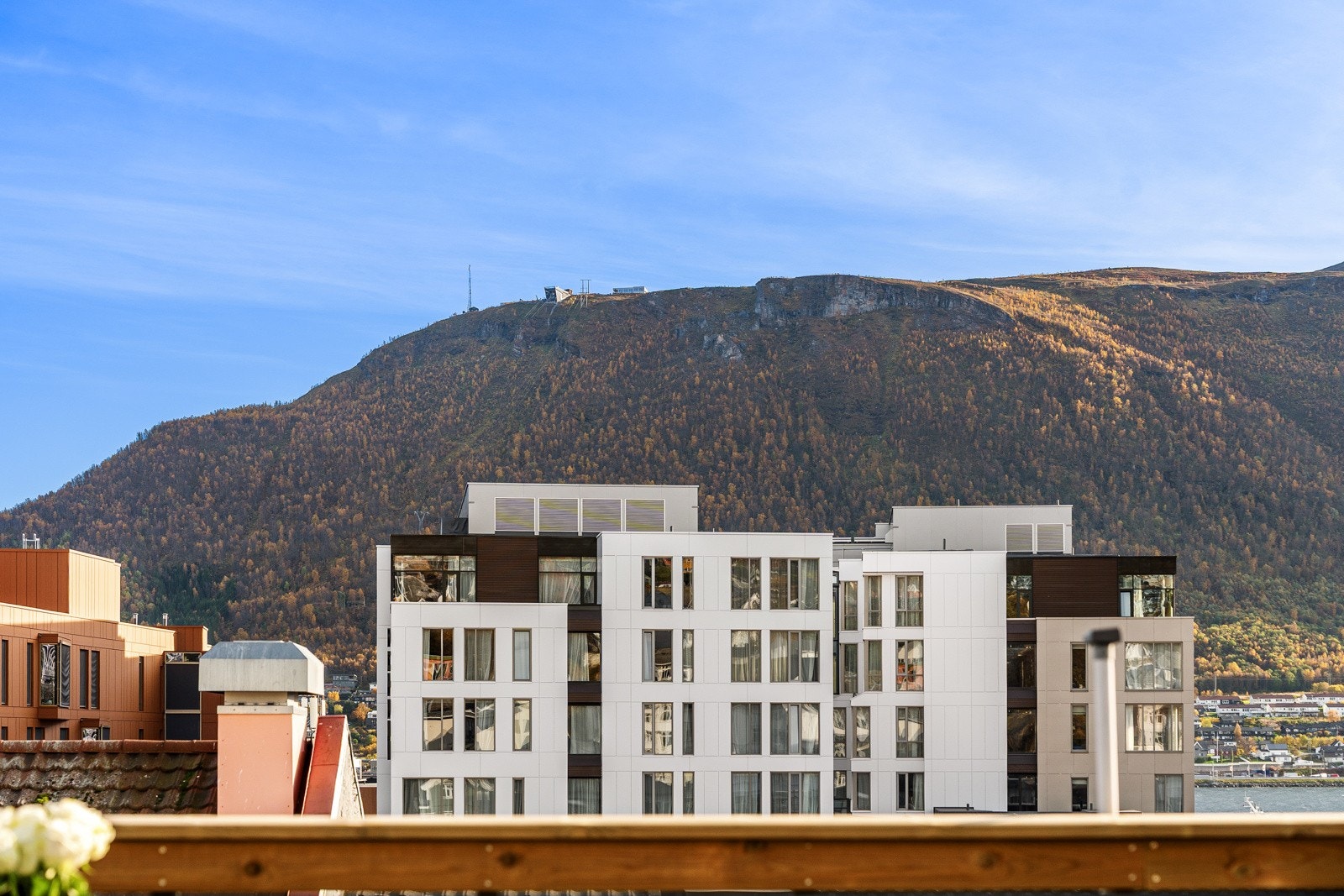 Utsikt fra felles takterrasse!