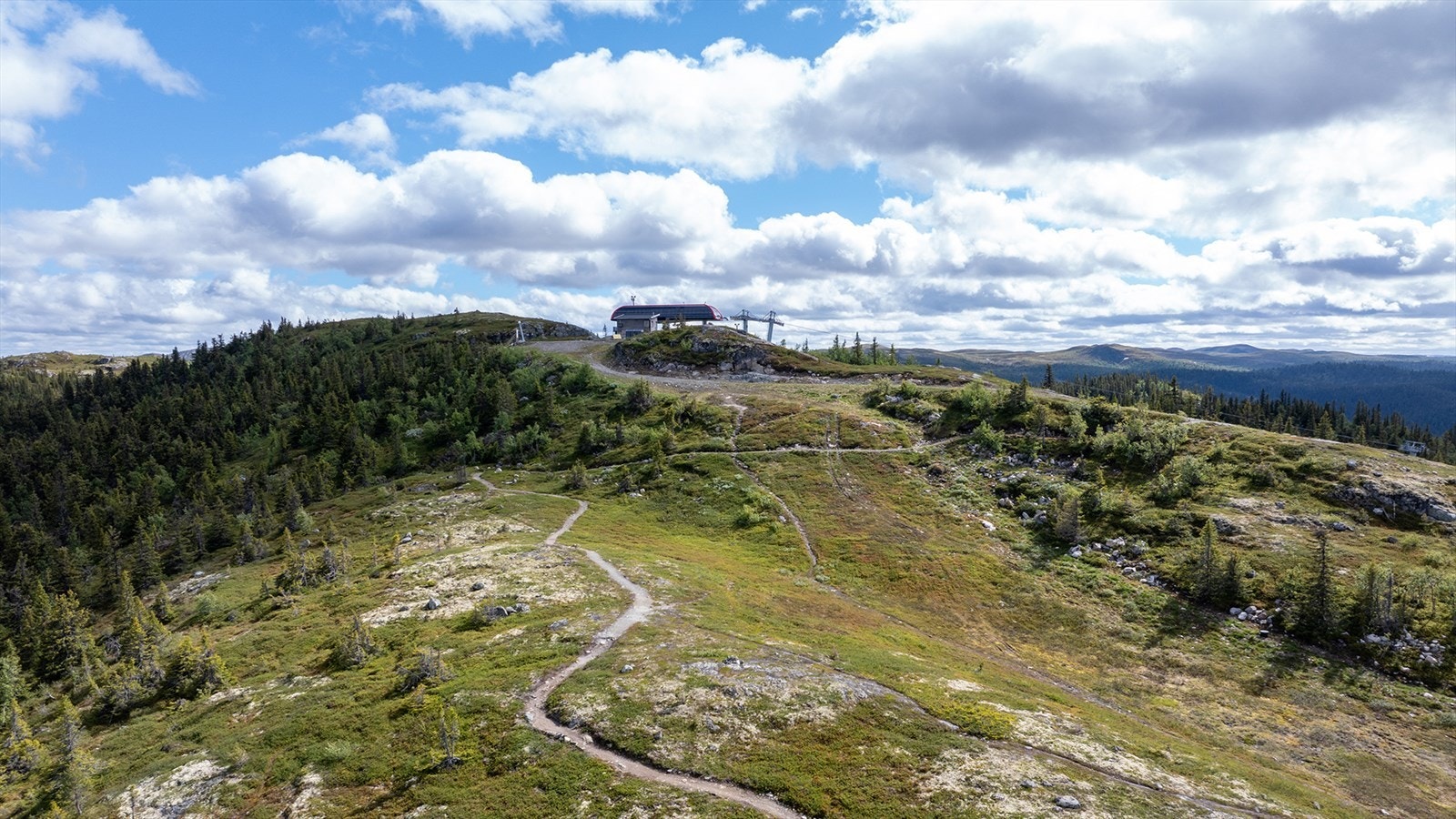 Nesfjellet Galleribilde