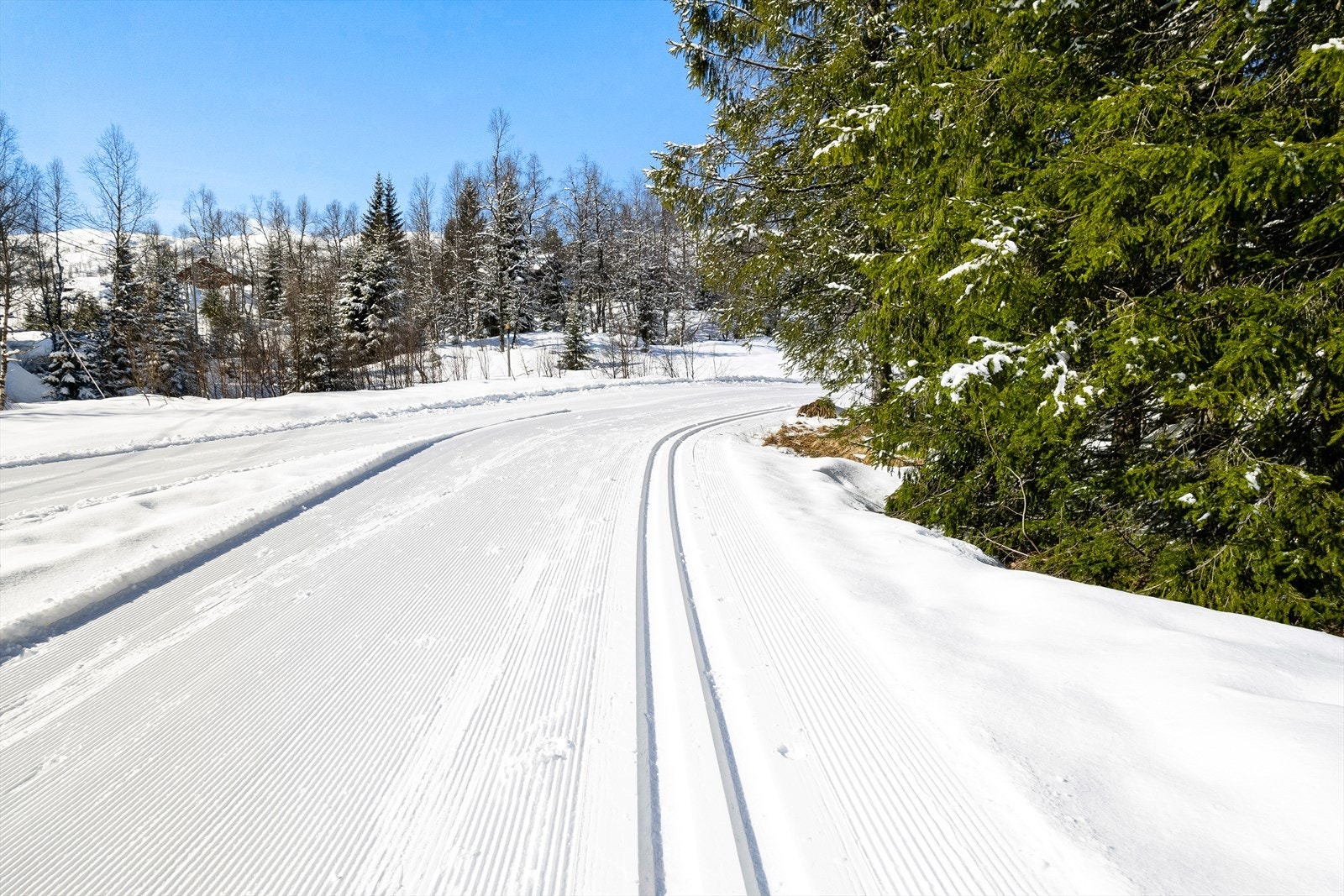 Preparerte skiløyper like utenfor inngangsdøren. Galleribilde