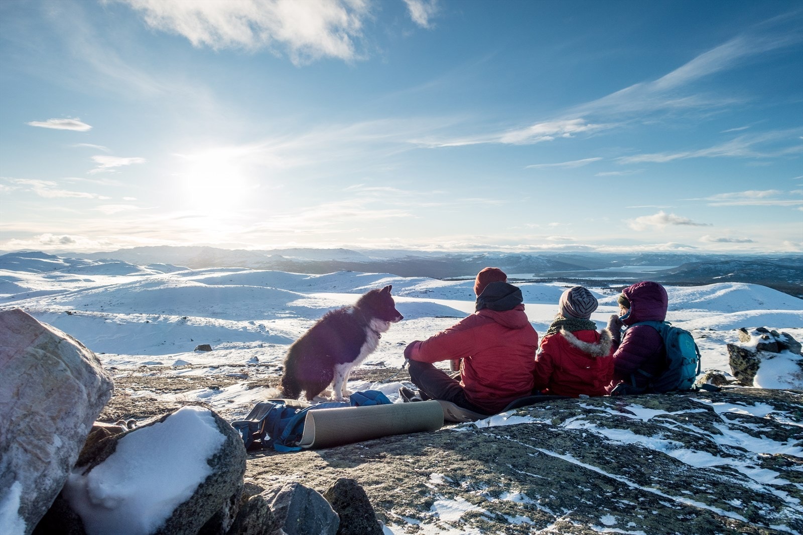 Åkrefjell på Nesfjellet Galleribilde