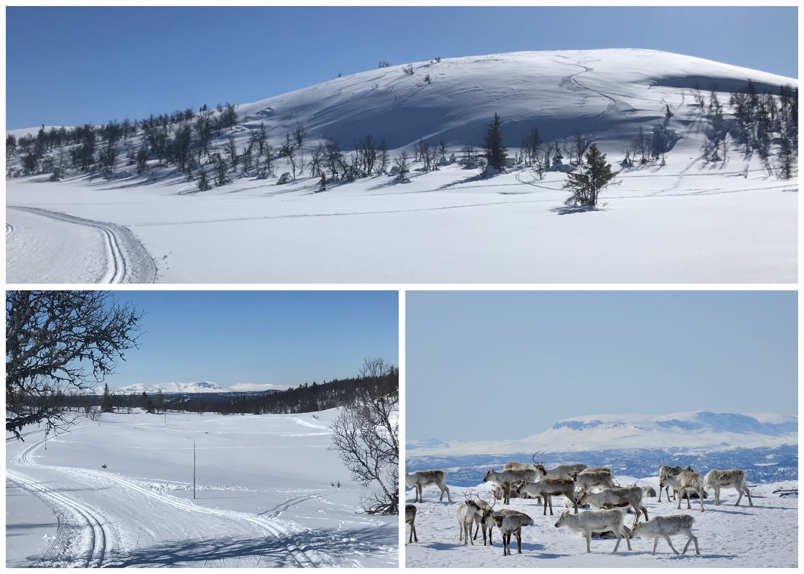 For korte turer kan man velge de godt vedlikeholdte løypene ved golfbanen, eller man kan følge de opp mot Nystølkroken, Åkrefjell og Trommenatten for lengre turer. Galleribilde