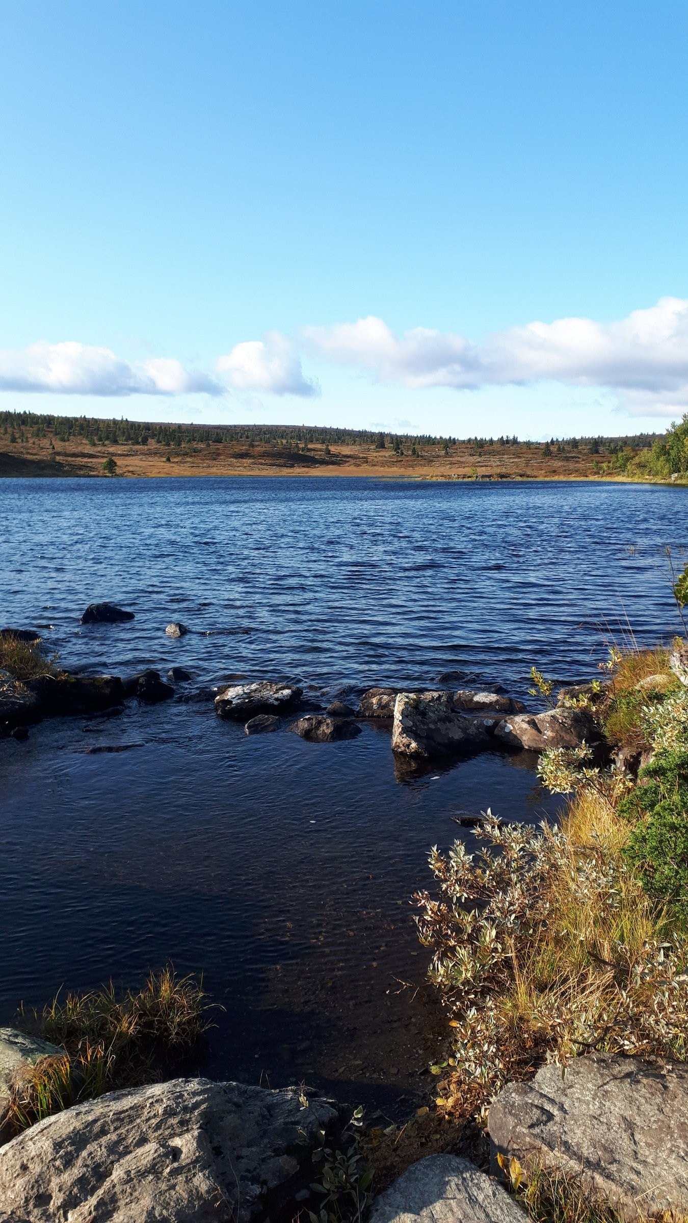 Områdebilde:Golsfjellet gir gode turopplevelser, sommer som vinter! Galleribilde
