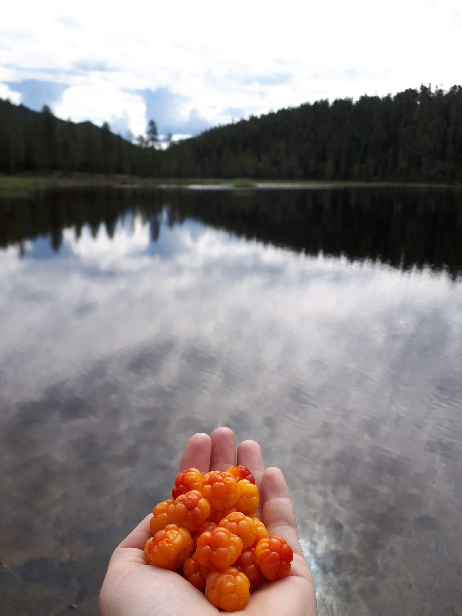 Områdebilde:Senk pulsen! Flytt til Hallingdal! Galleribilde