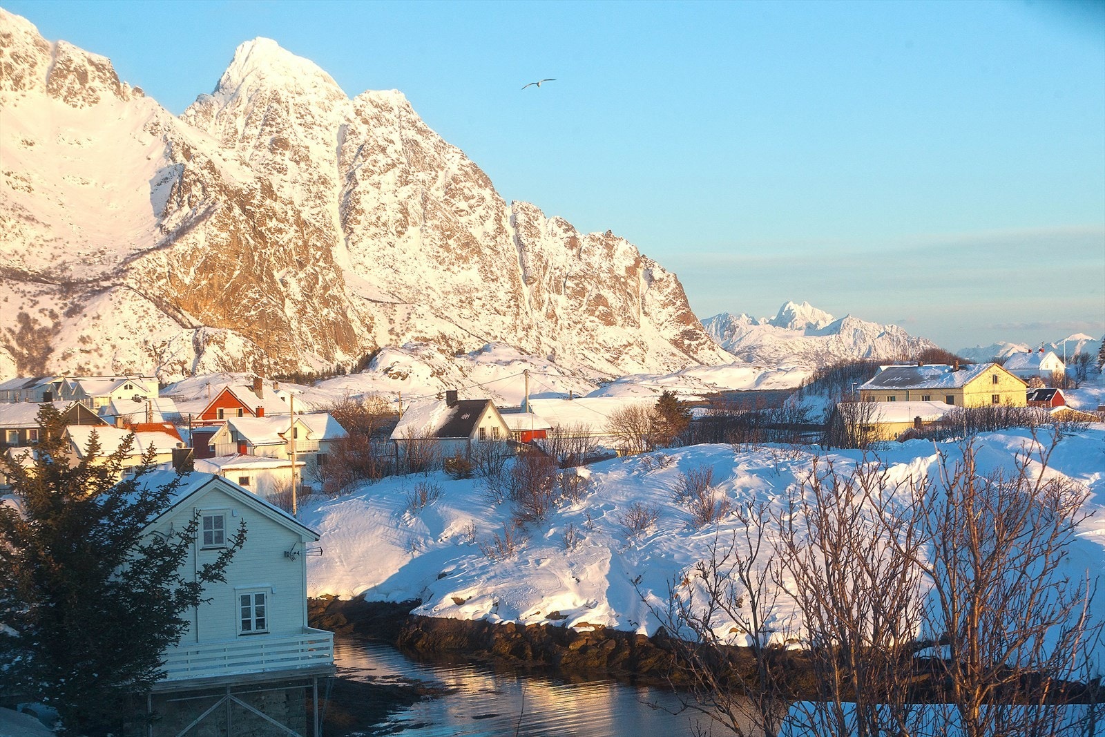Vinterstemning Galleribilde