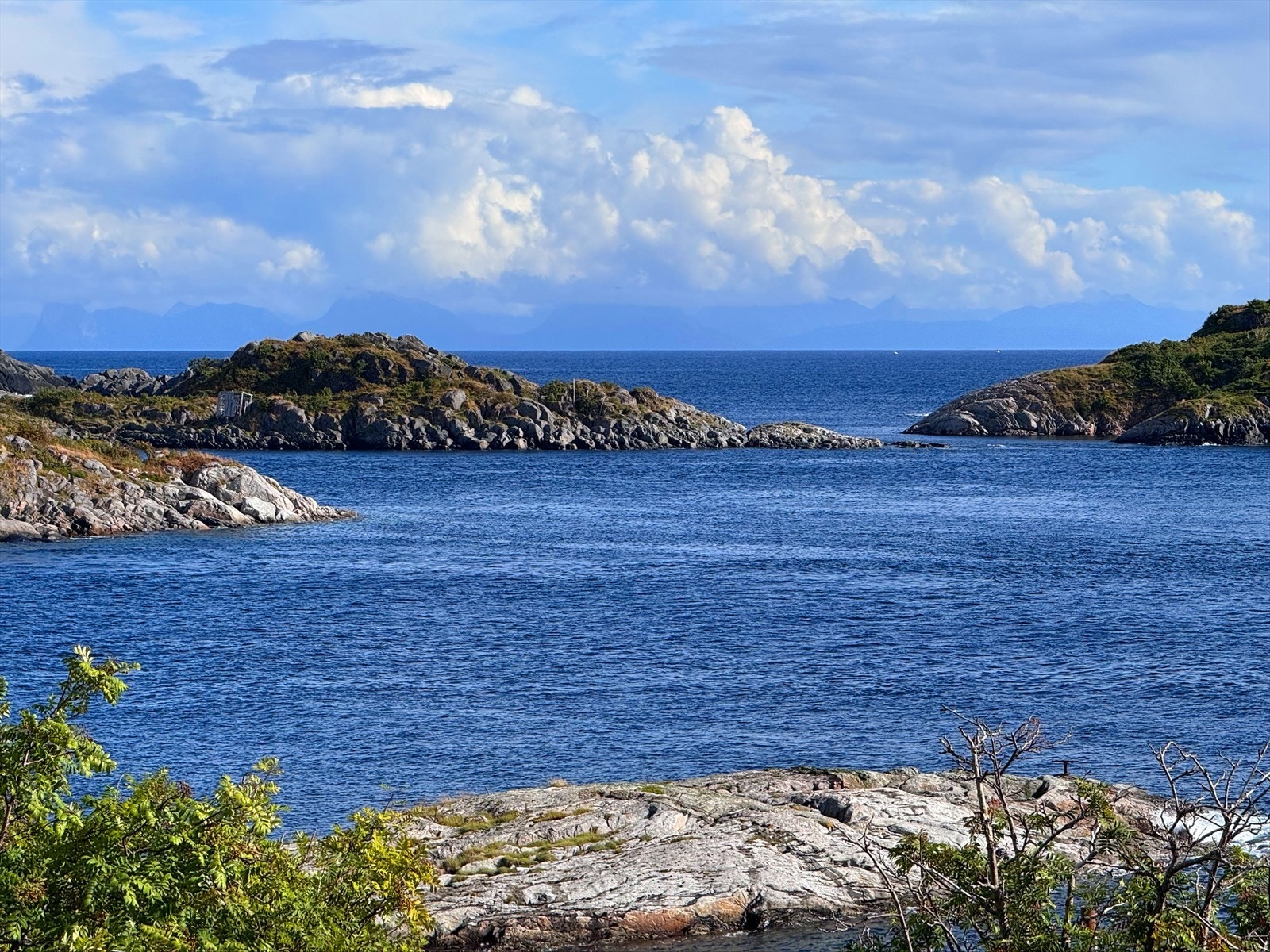 Her kan man se hurtigrutene gå forbi Galleribilde