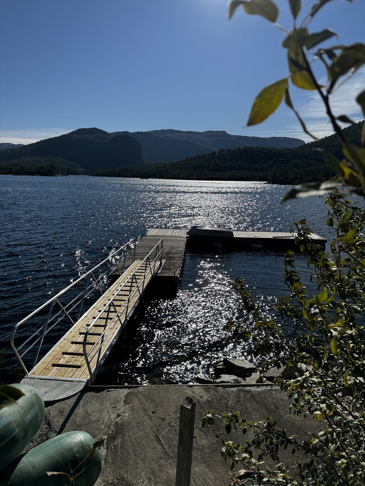Selgers egne bilder Galleribilde