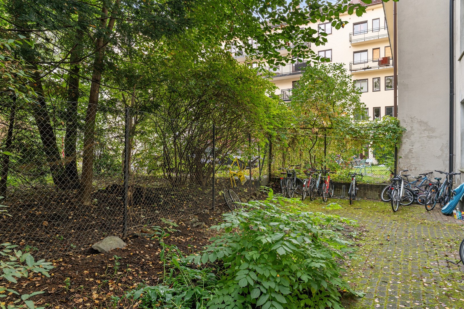 Opparbeidet bakgård. Galleribilde