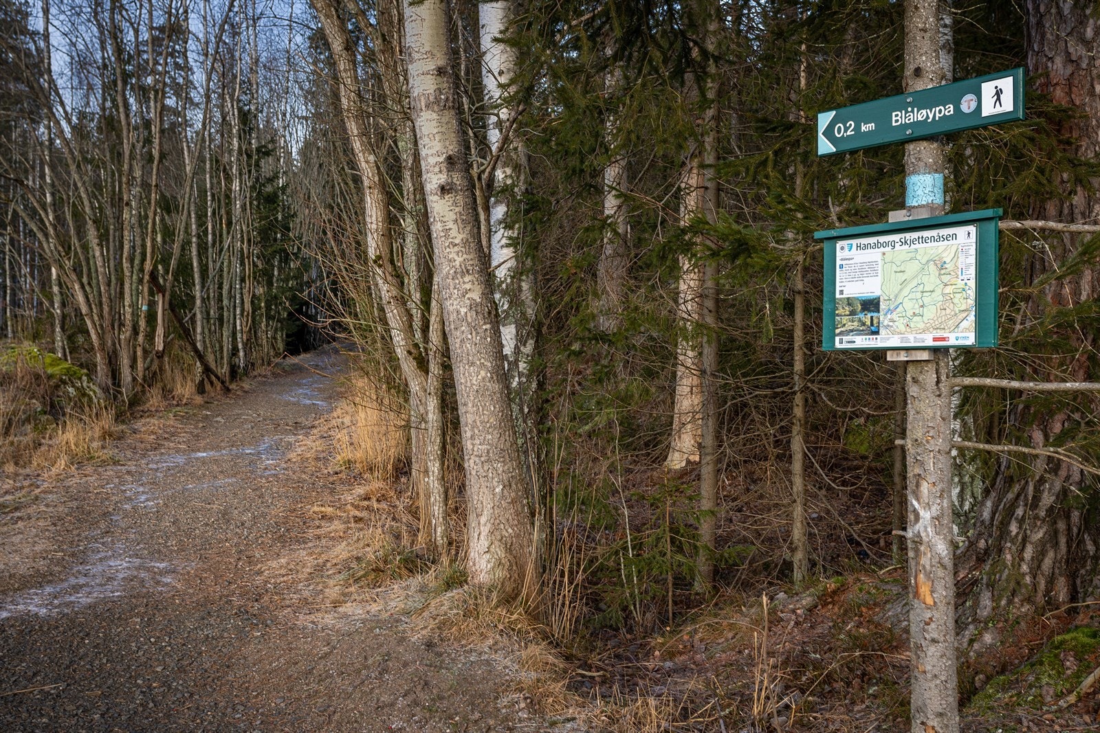 Her bor du tett inntil marka, som byr på et eldorado av turmuligheter gjennom hele året. Galleribilde