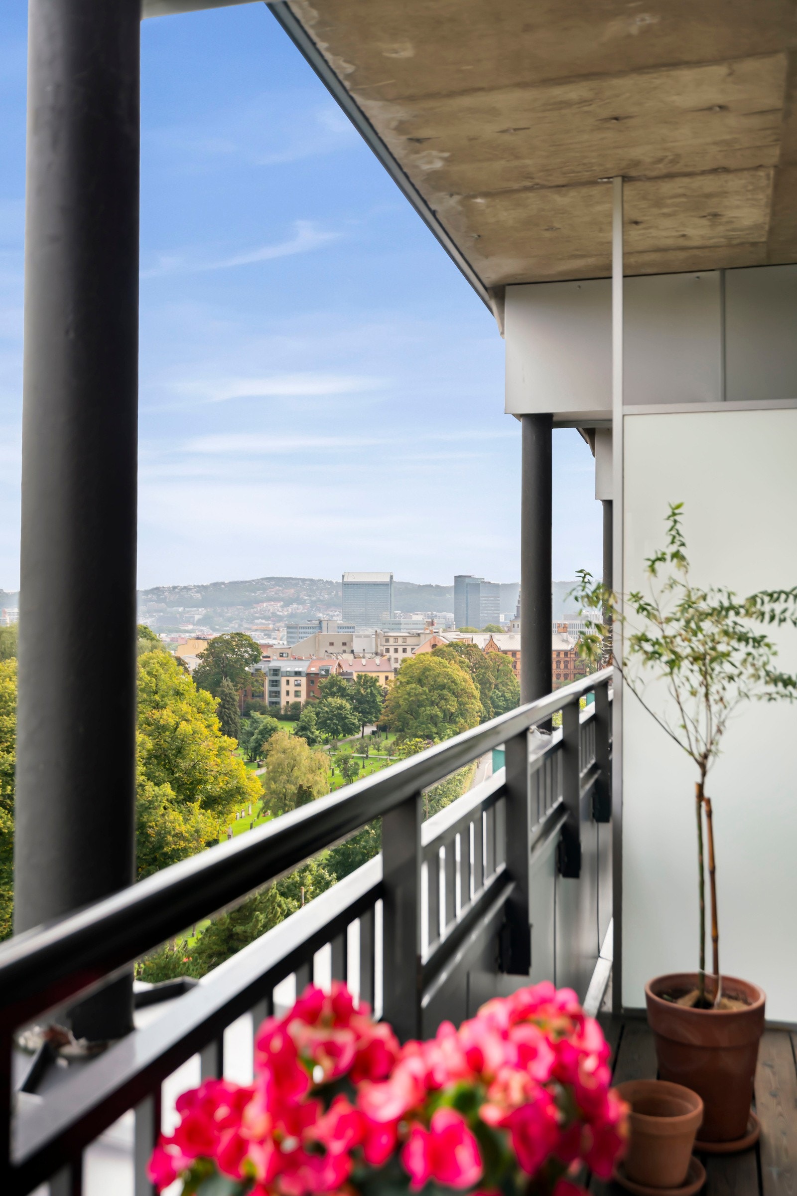 Utsikt mot grønne og frodige områder. Galleribilde