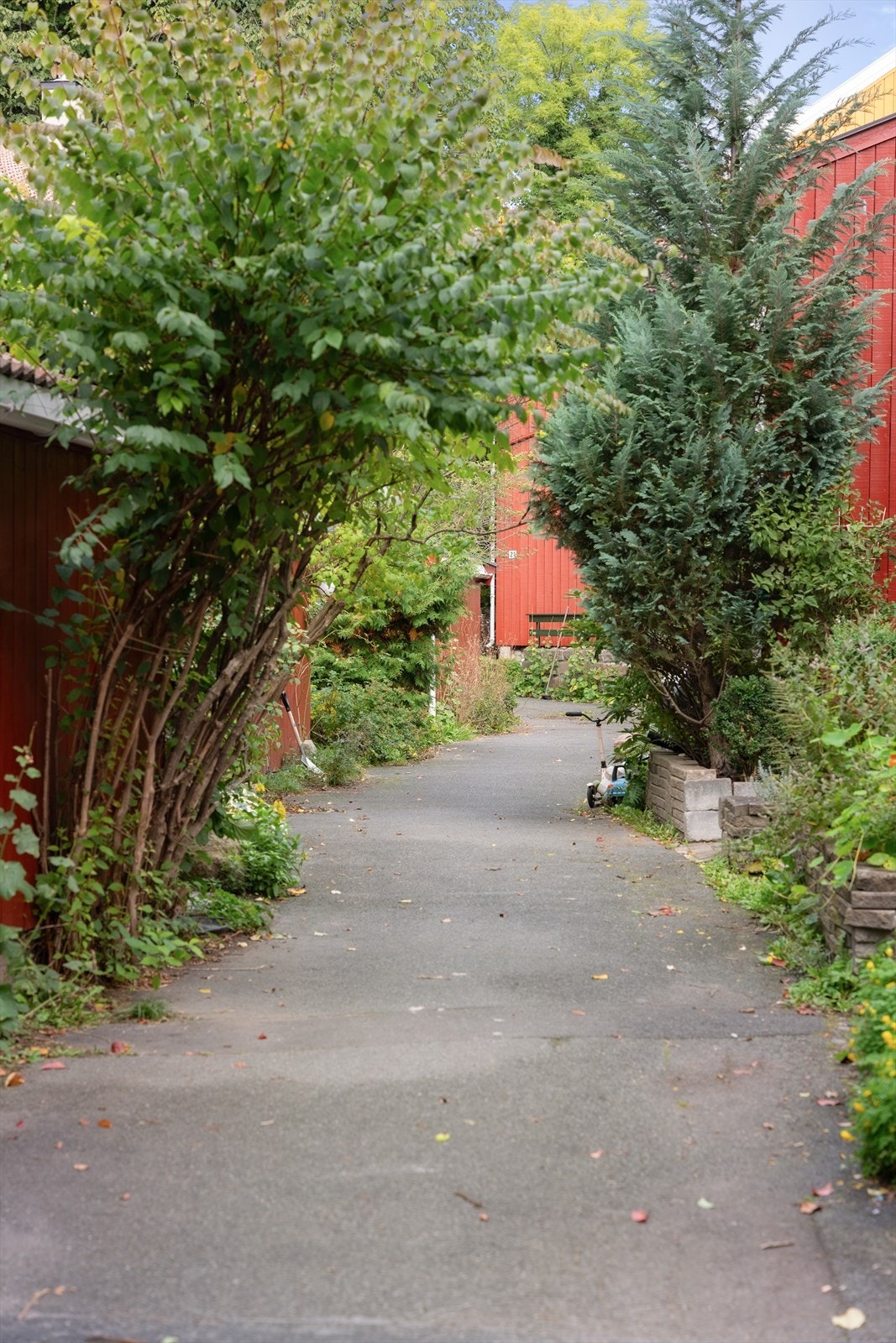 Området er rolig og gir en avslappende atmosfære. Galleribilde