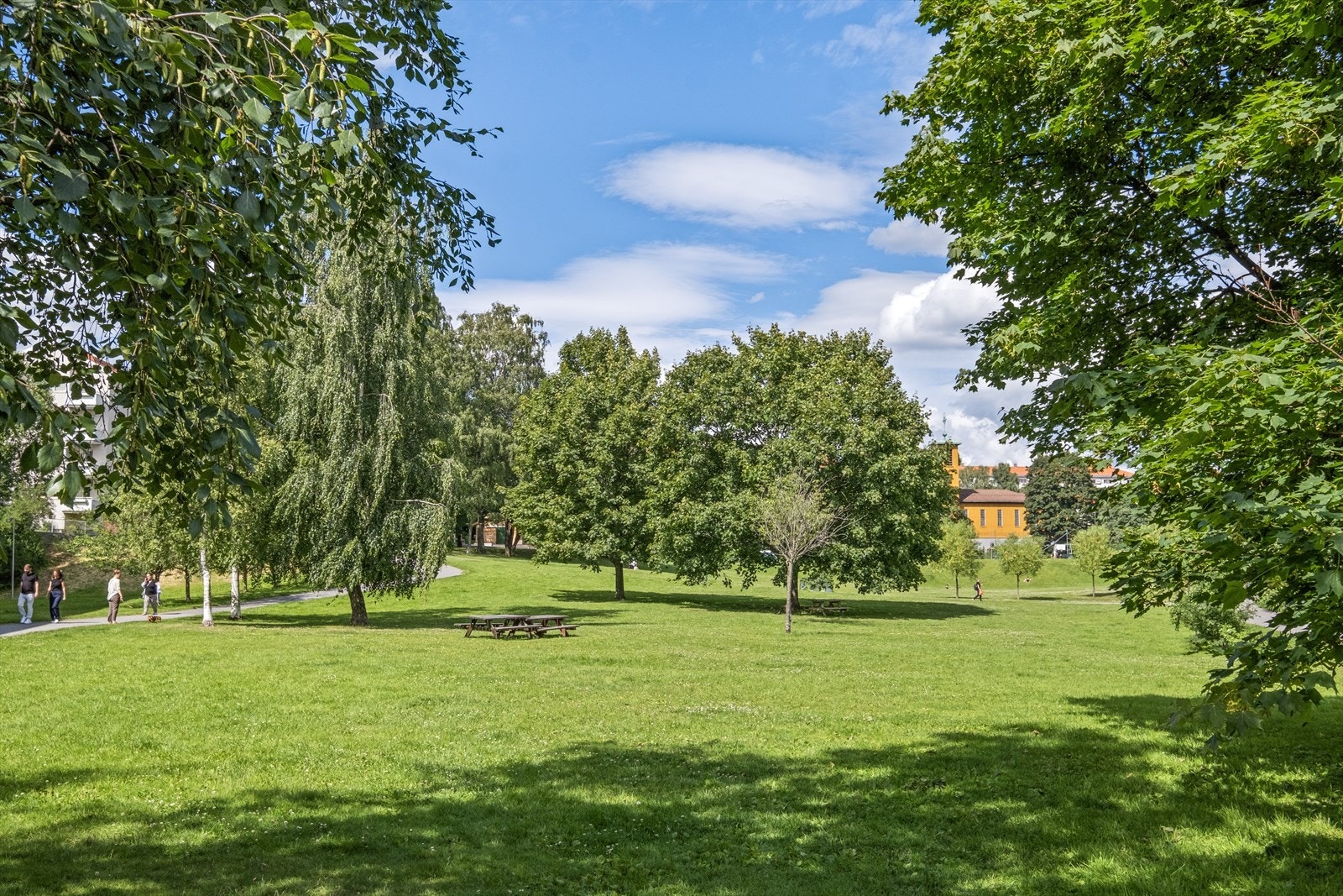 - Nærområdet - Galleribilde