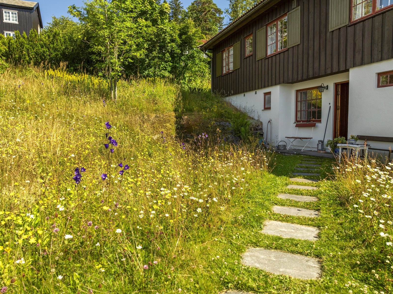 Hagen er en sommereng med både blåklokker og prestekrager. Galleribilde