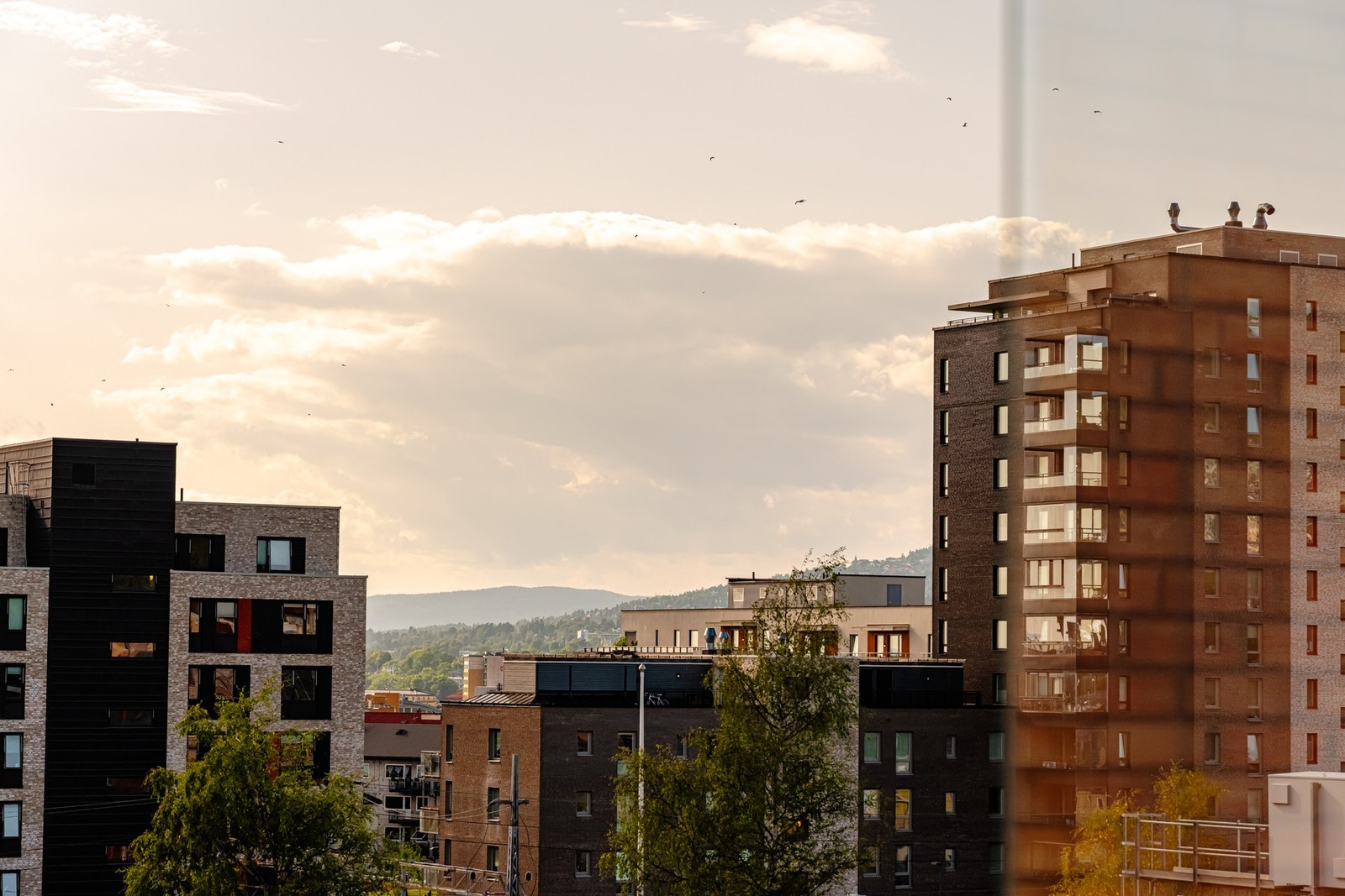 Hyggelig utsyn mot frodige omgivelser. Galleribilde