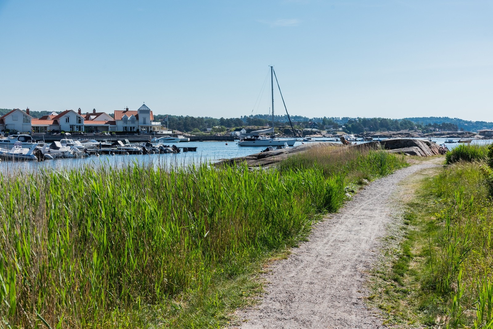 Her er det bare å nyte sol, sjø og sommerliv langs vannet Galleribilde