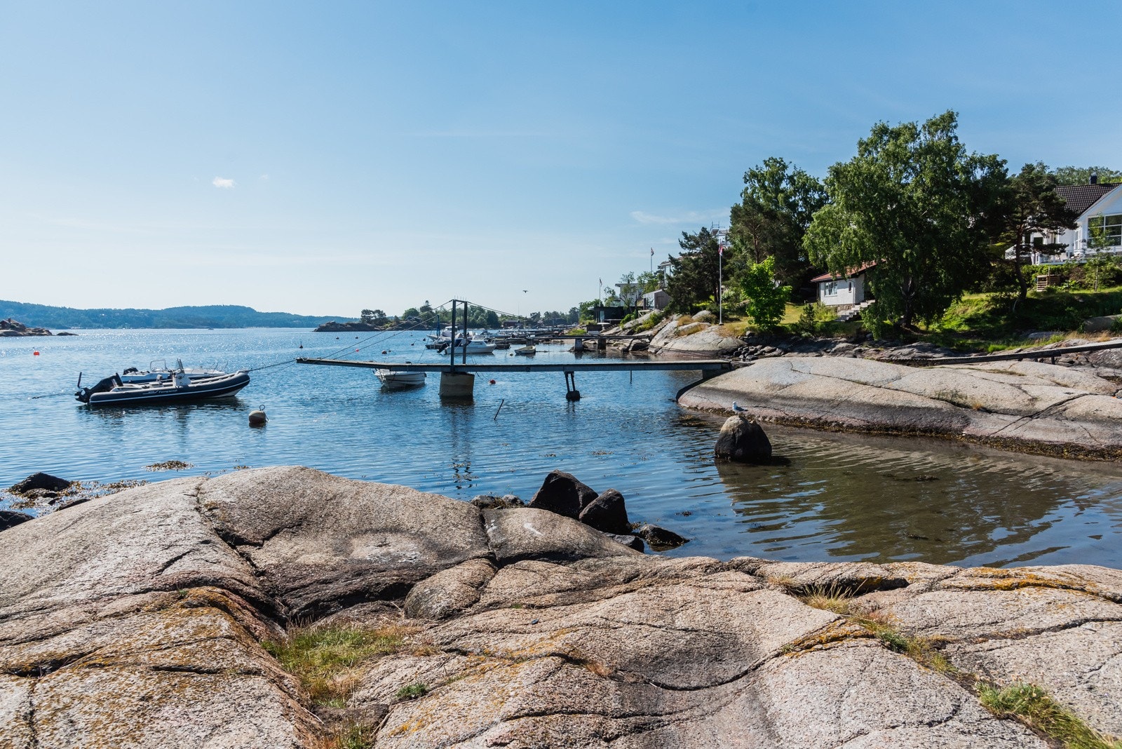 Nyt sommeren på vannet Galleribilde