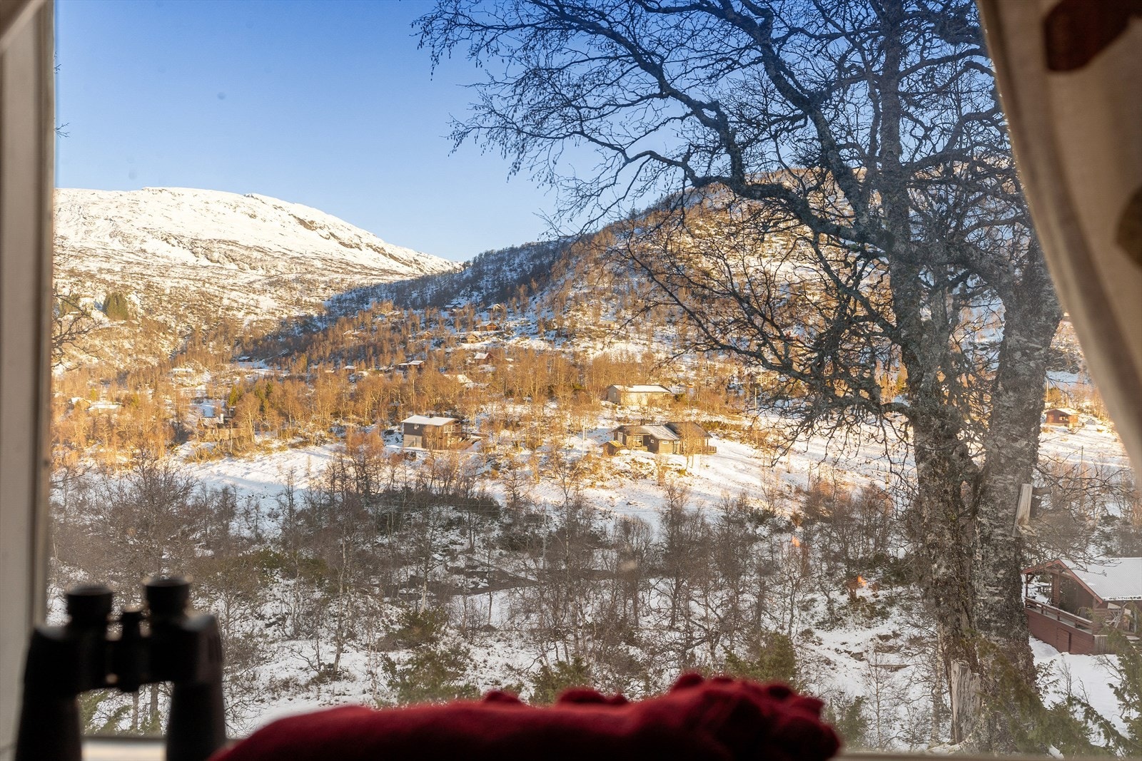 Utsikt fra stuen Galleribilde