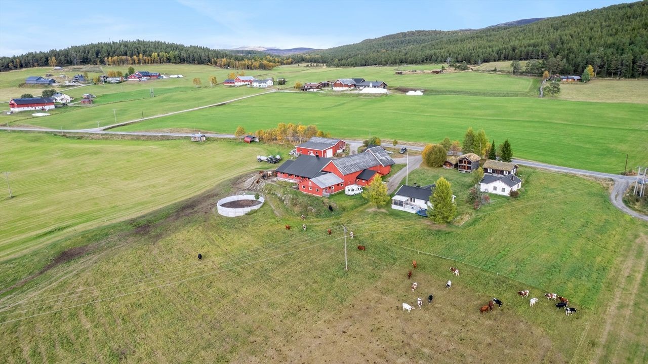 Sentrert tunbebyggelse, omkranset av egen dyrket mark - mot nordvest Galleribilde