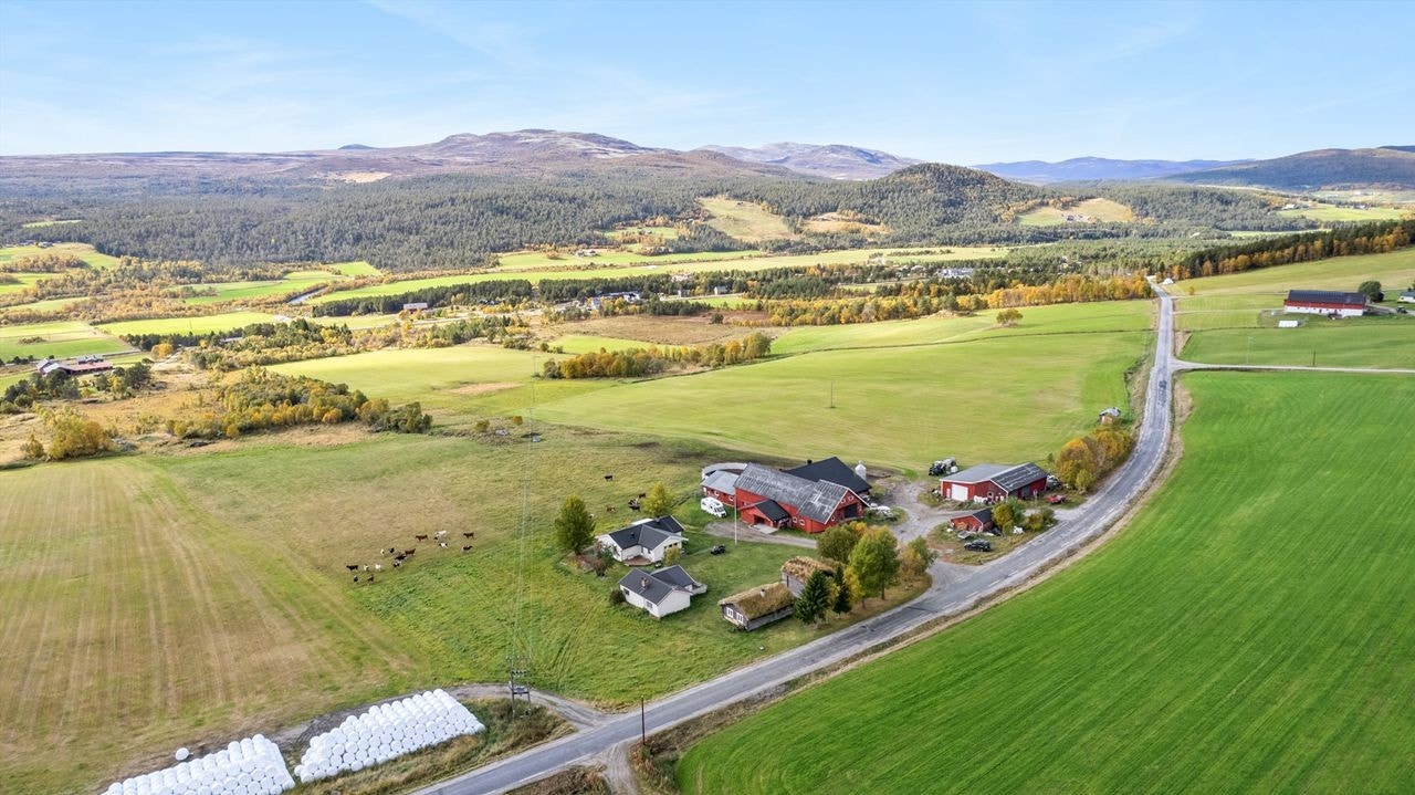 Mot sørvest Galleribilde