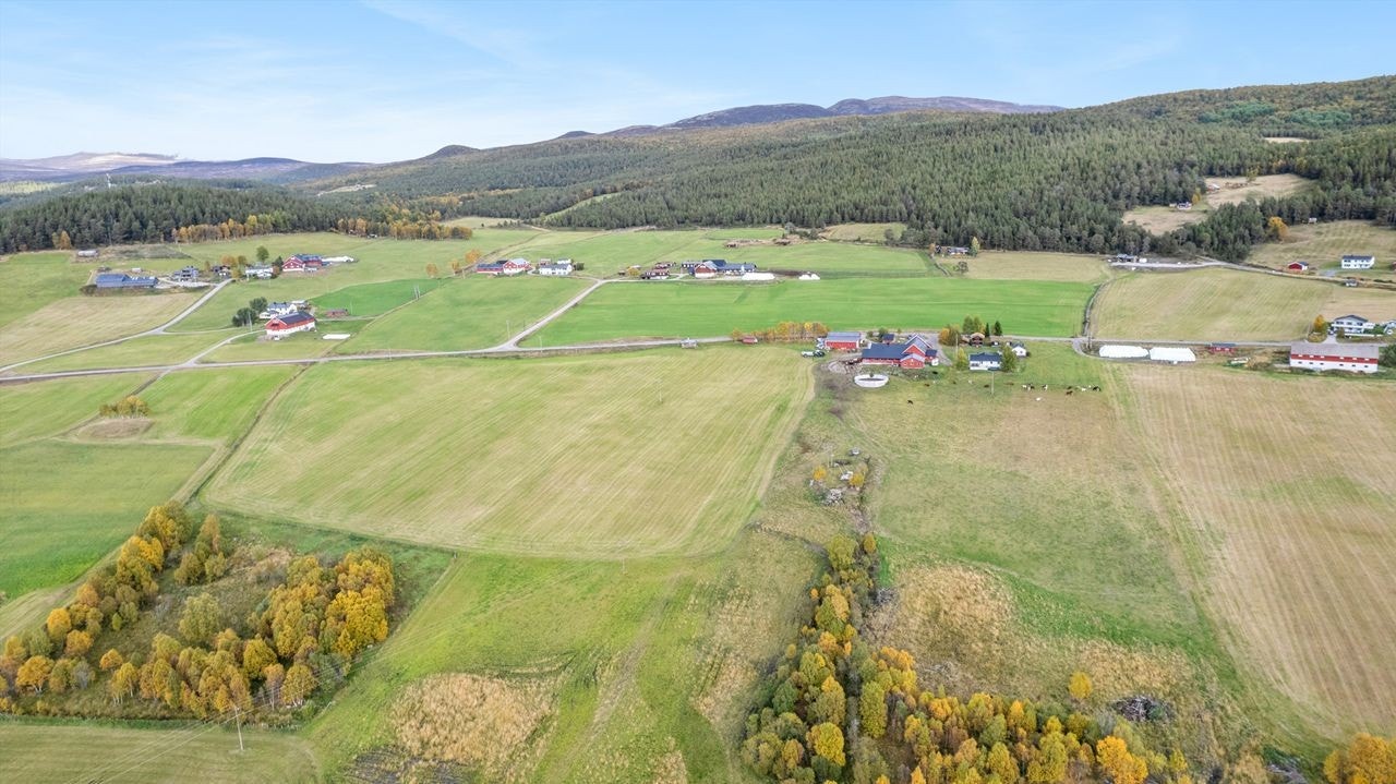 Mot nord Galleribilde