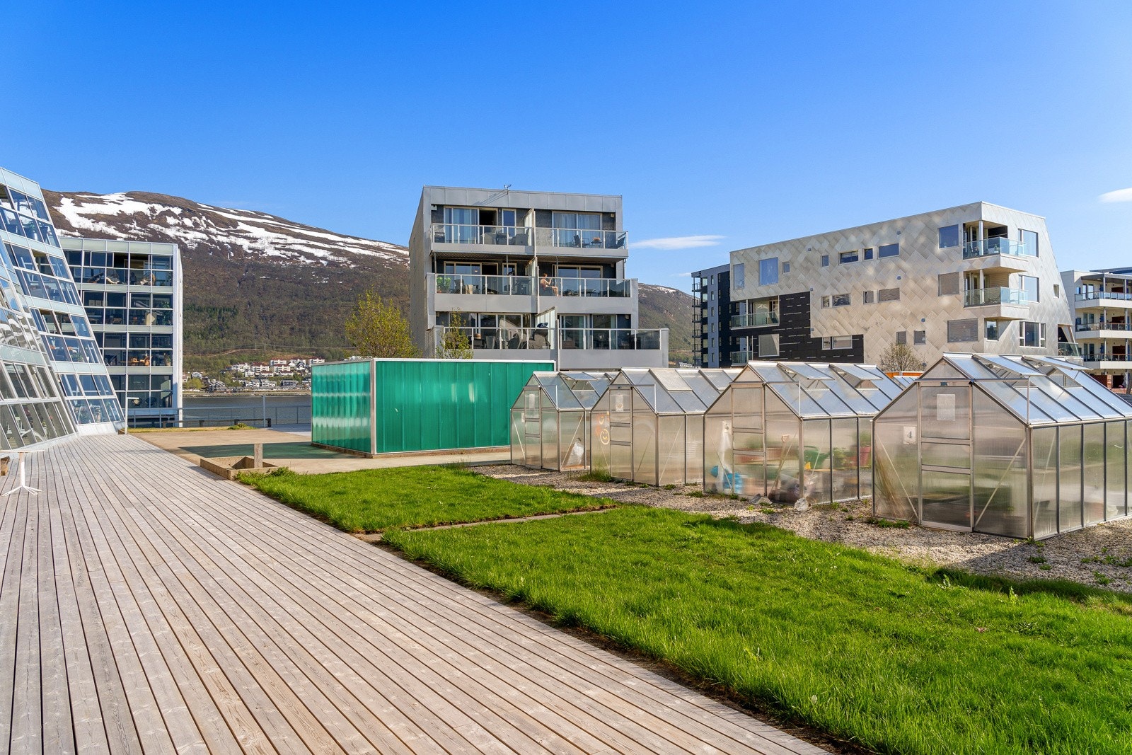 Alle beboere i bydelen har muligheten til å leie drivhus til dyrking av grønnsaker.