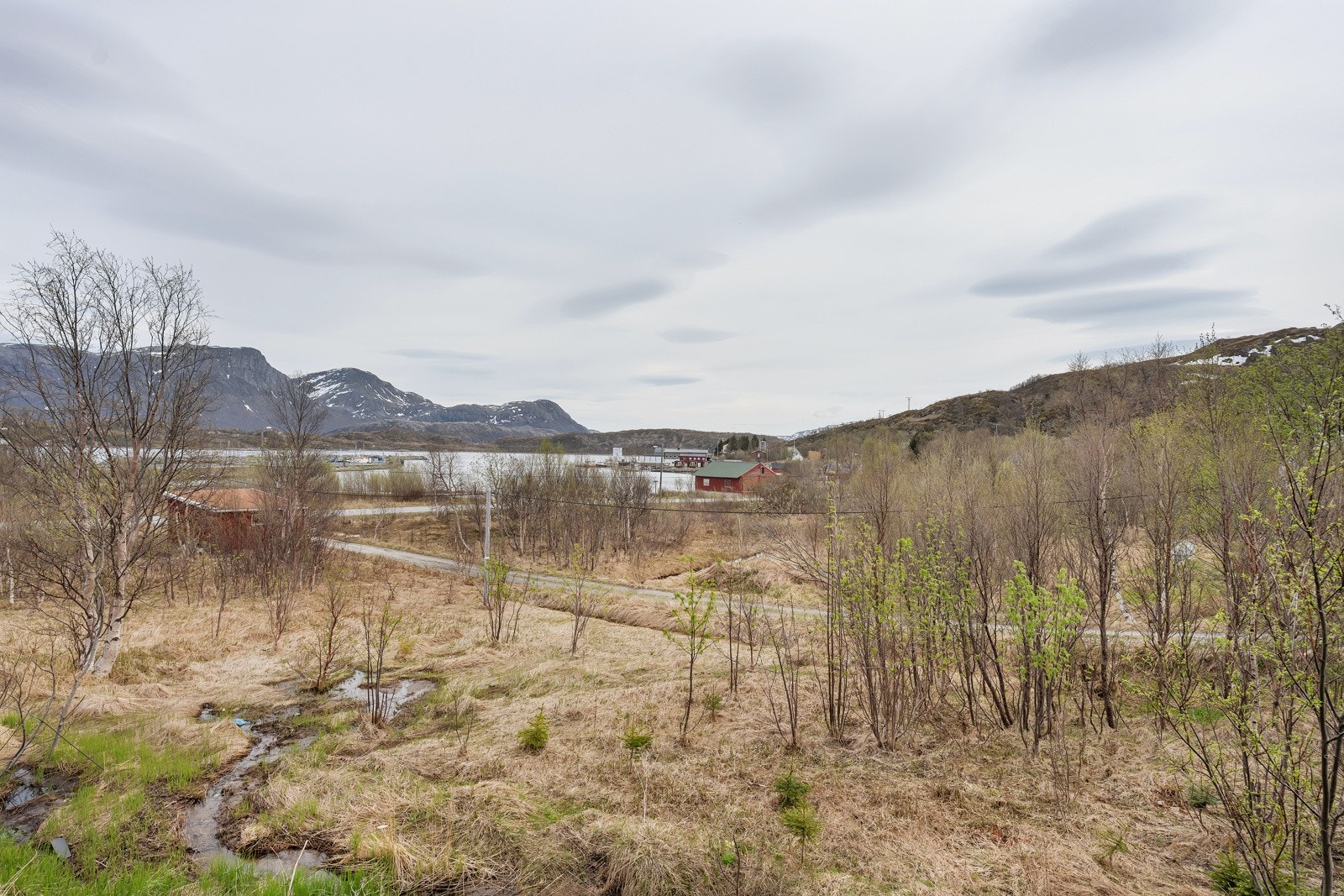 Utsikt fra terrassen. Galleribilde