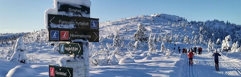 Toppen av Sirishei, mot Himmelsyna i bakkant Galleribilde