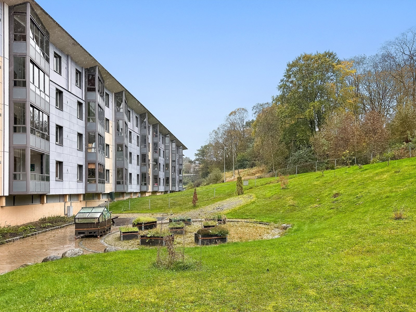 Pent opparbeidet fellesområde. Galleribilde