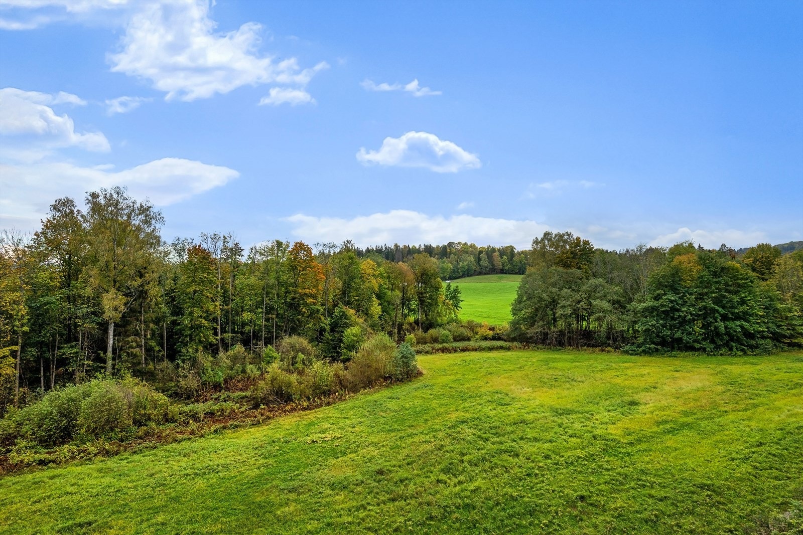 Grønne, rolige omgivelser Galleribilde