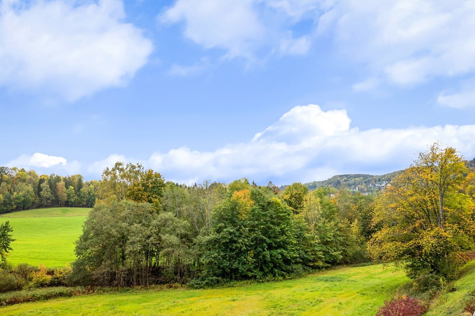 Utsikt retning Hvalstad Galleribilde