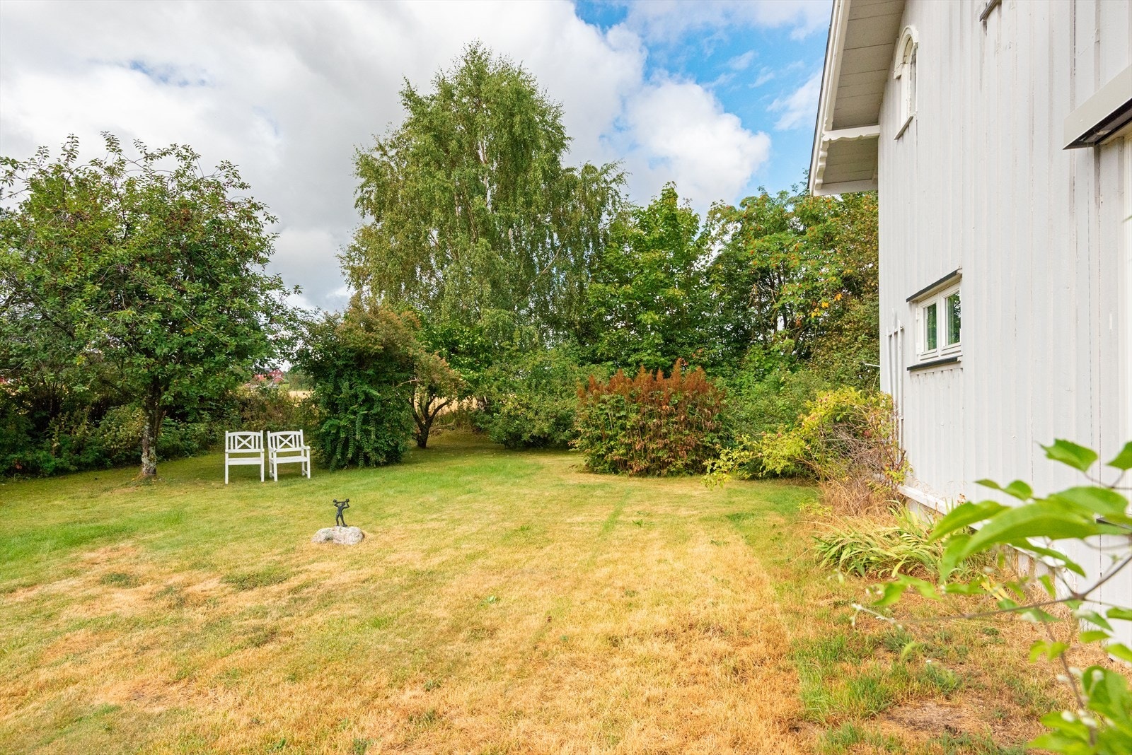 Hage med fine solforhold Galleribilde