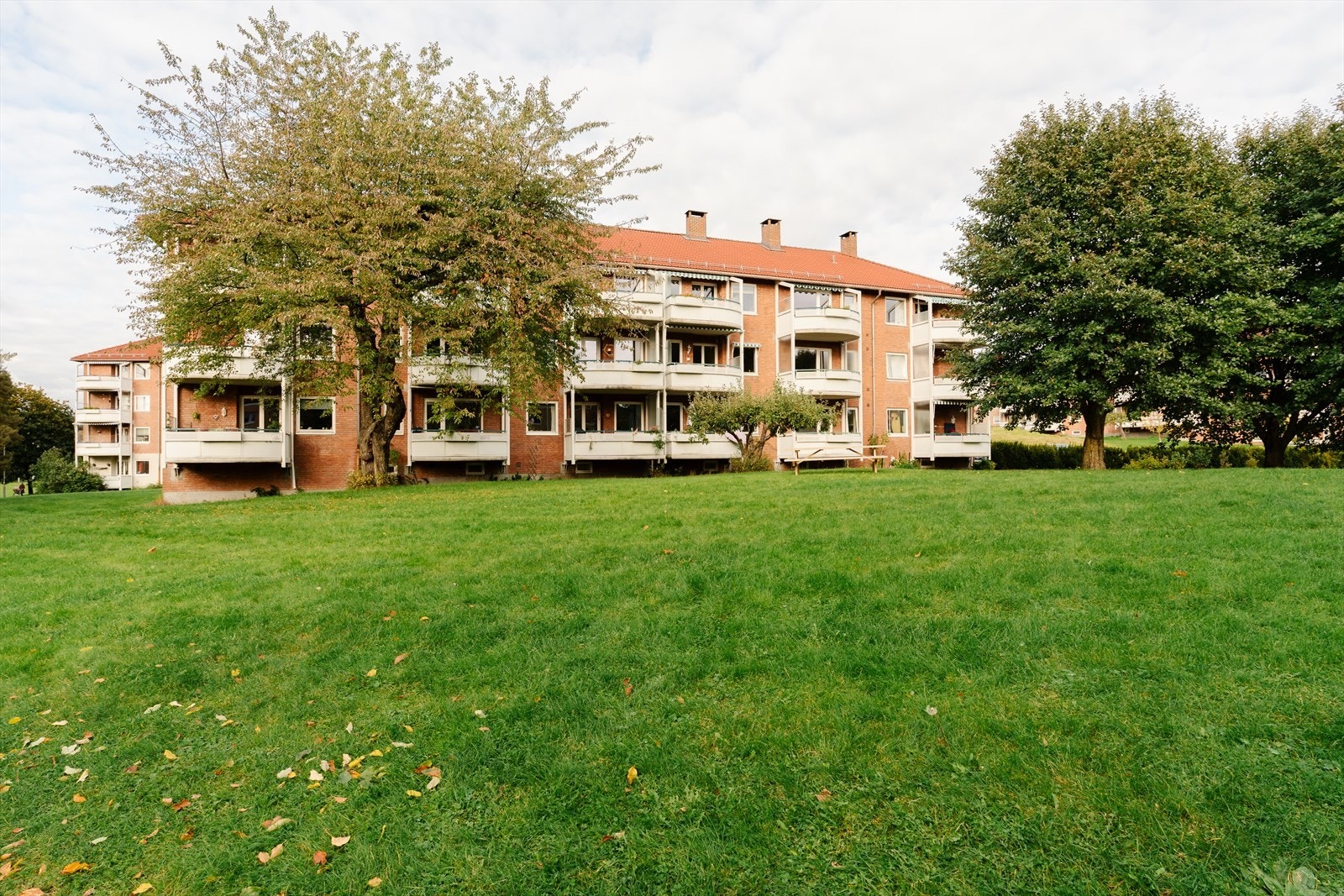 Du finner flere flotte grøntområder rett utenfor døren Galleribilde