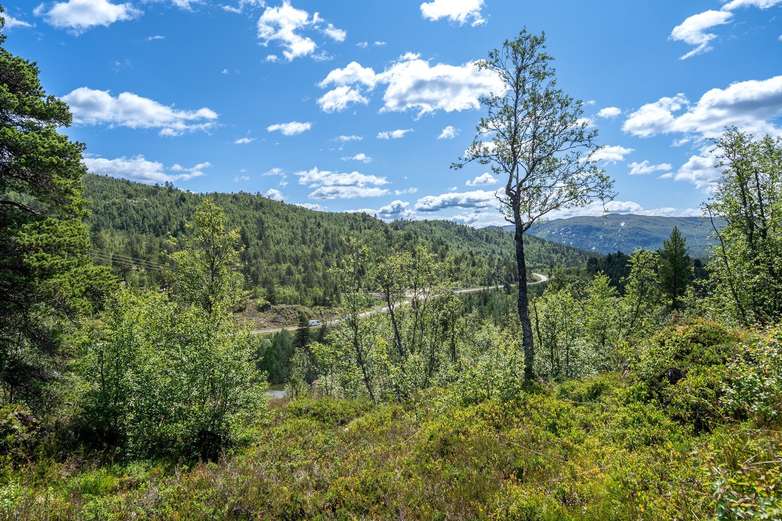Vågslidområdet ligger på østsiden av vannskillet og er kjent for sitt gode klima. Galleribilde