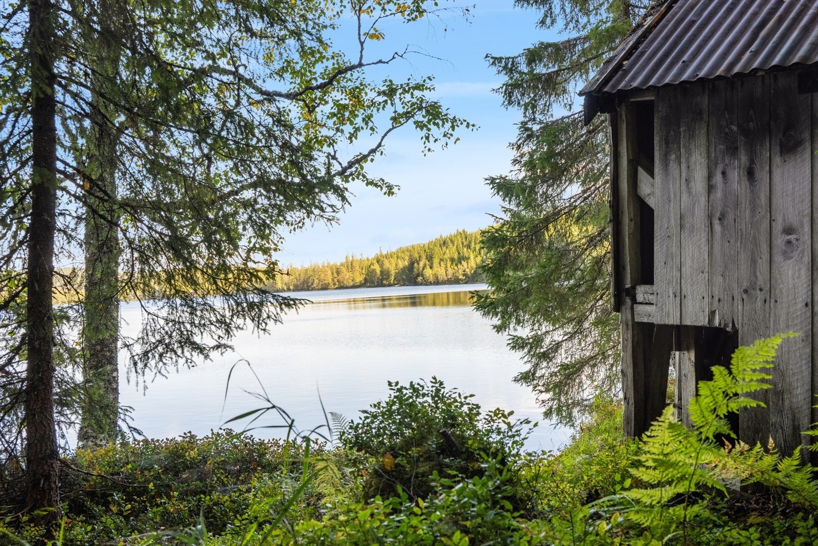 Naust nede ved Skjærsjøen. Galleribilde