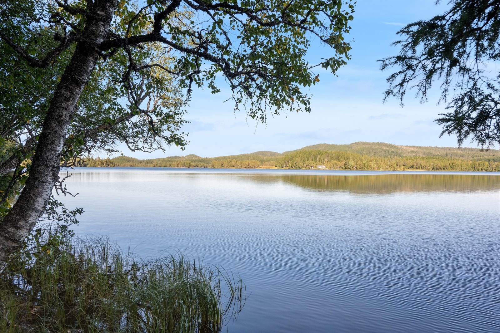 Skjærsjøen nedenfor hytta. Galleribilde