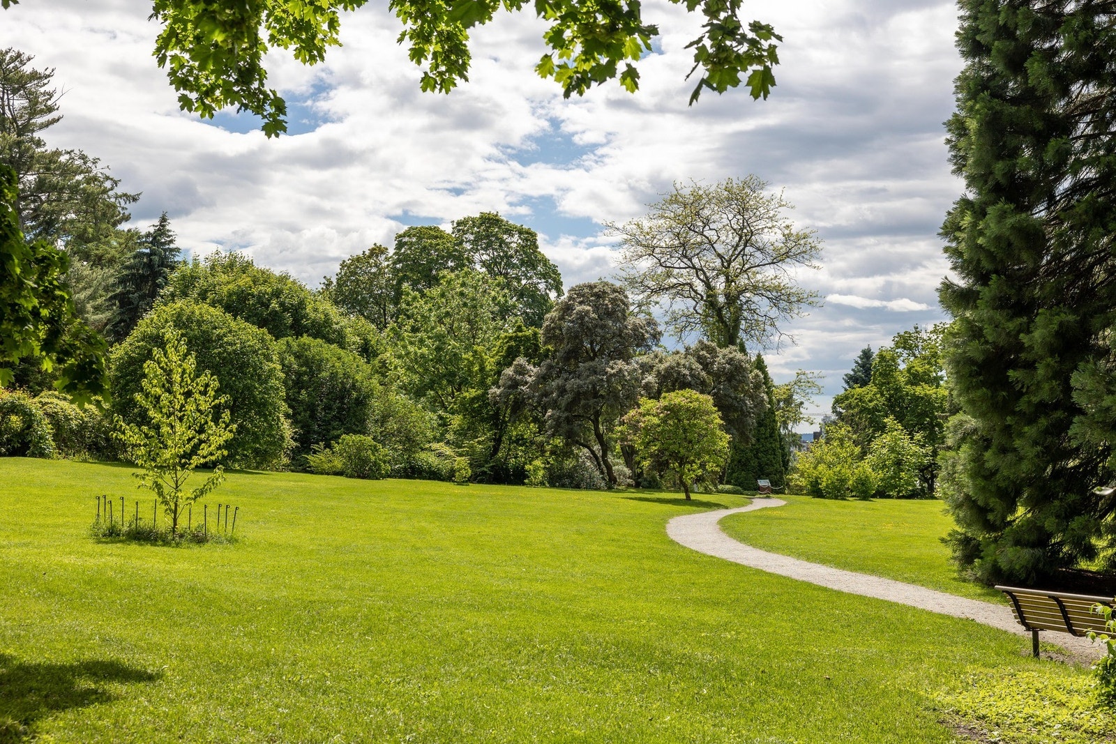 Botaniske hage. Galleribilde
